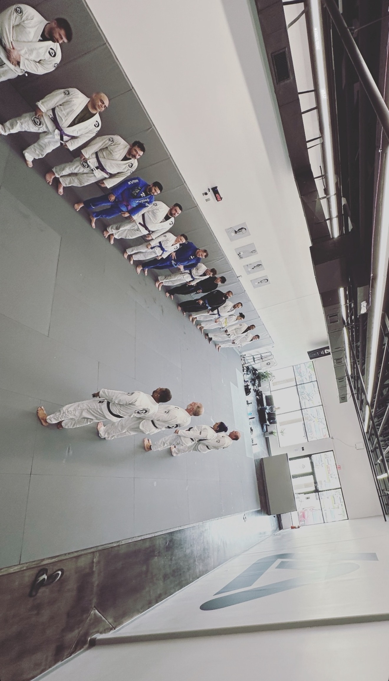 Students lined up on the mat at the start of class